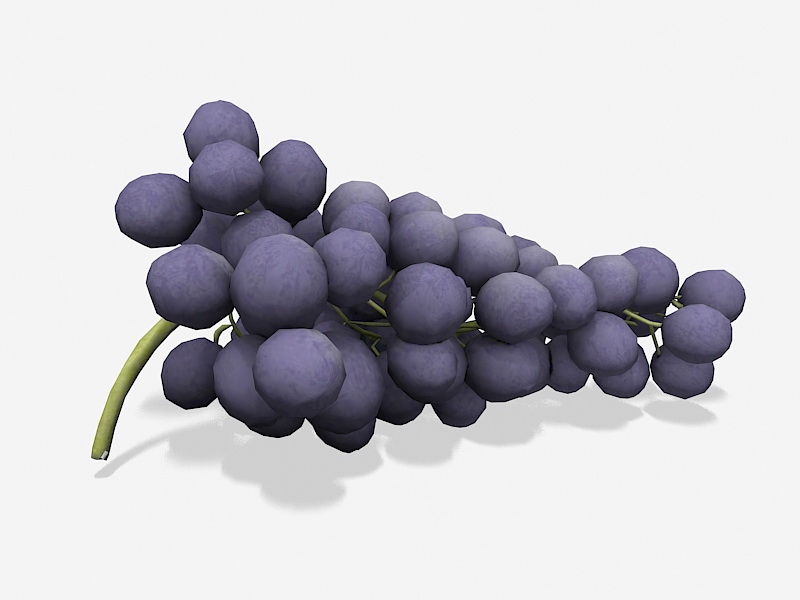 Purple Grapes 3d rendering