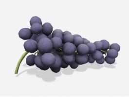 Purple Grapes 3d model preview