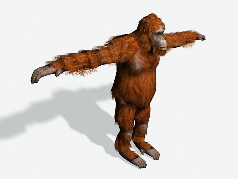 Giant Orangutan 3d rendering