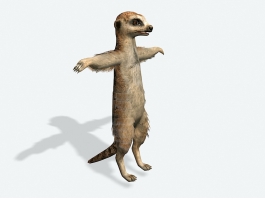 Meerkat Animal 3d model preview