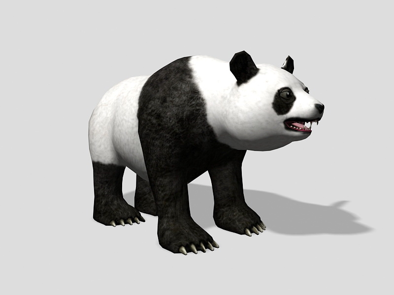 Panda Bear Animal 3d rendering