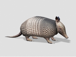 Nine-Banded Armadillo 3d preview
