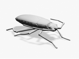 Boxelder Bug 3d preview