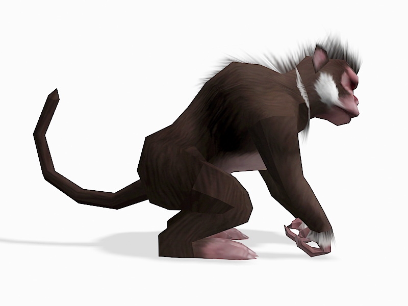 Cartoon Monkey 3d rendering