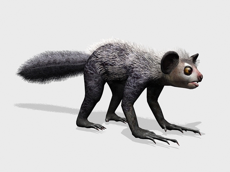 Aye-aye Lemur Animal 3d rendering