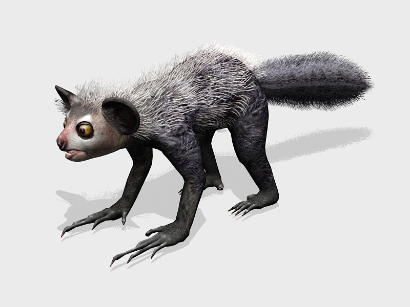 Aye-aye Lemur Animal 3d rendering