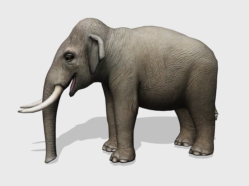Giant Elephant 3d rendering