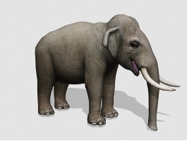 Giant Elephant 3d model preview
