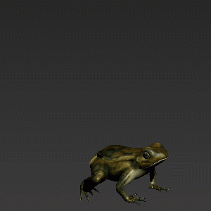 Jumping Frog Rig Animation 3d rendering