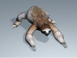 Three-toed Sloth 3d preview