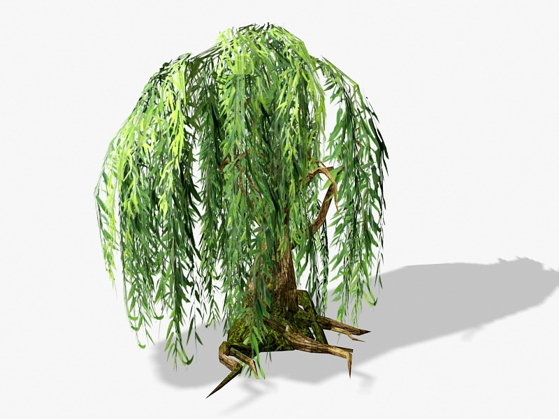 Old Willow Tree 3d rendering