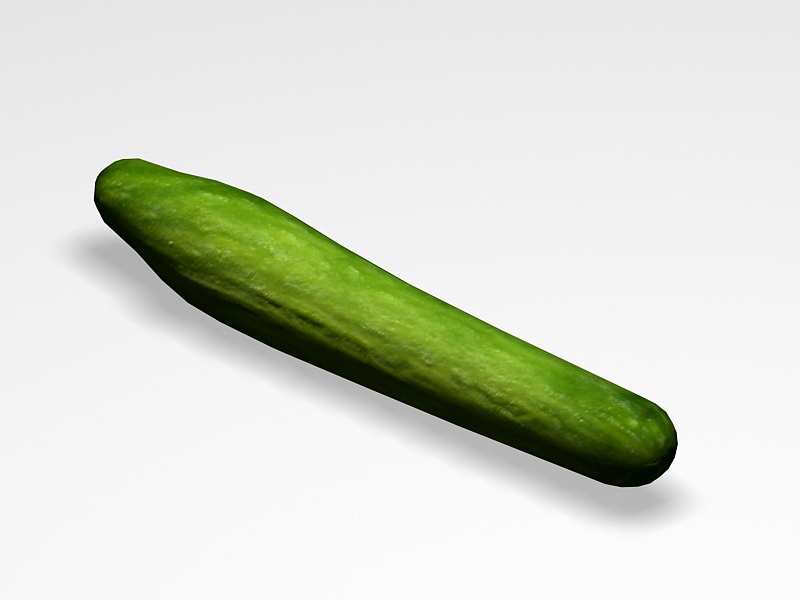 Cucumber Fruit 3d rendering