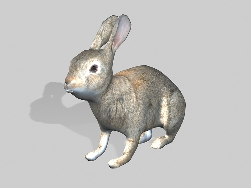 A Wild Rabbit 3d rendering