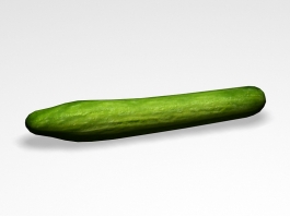 Cucumber Fruit 3d model preview