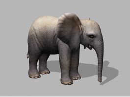 Adorable Baby Elephant 3d preview