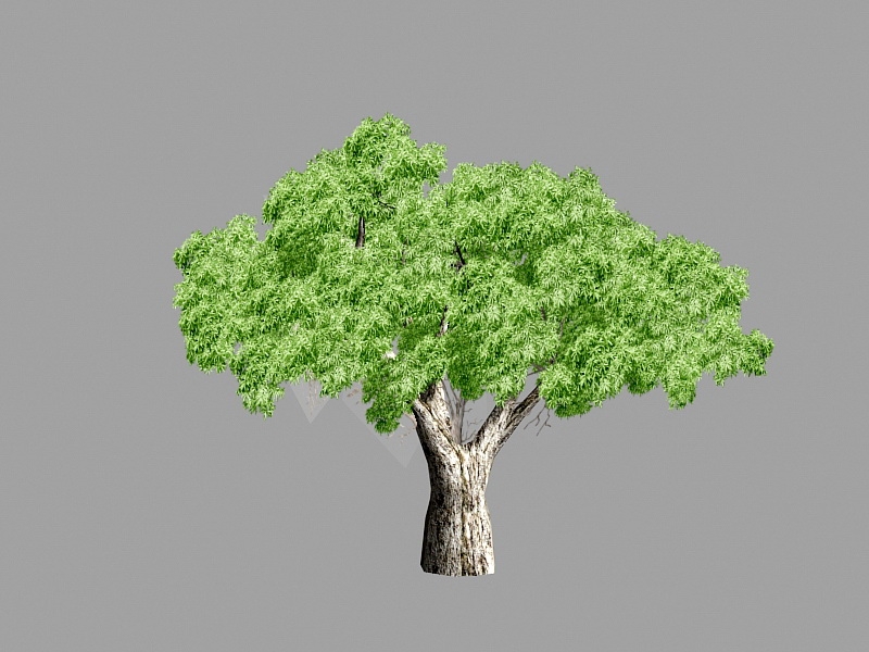 Big Tree Lowpoly 3d rendering