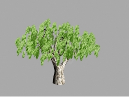 Big Tree Lowpoly 3d preview