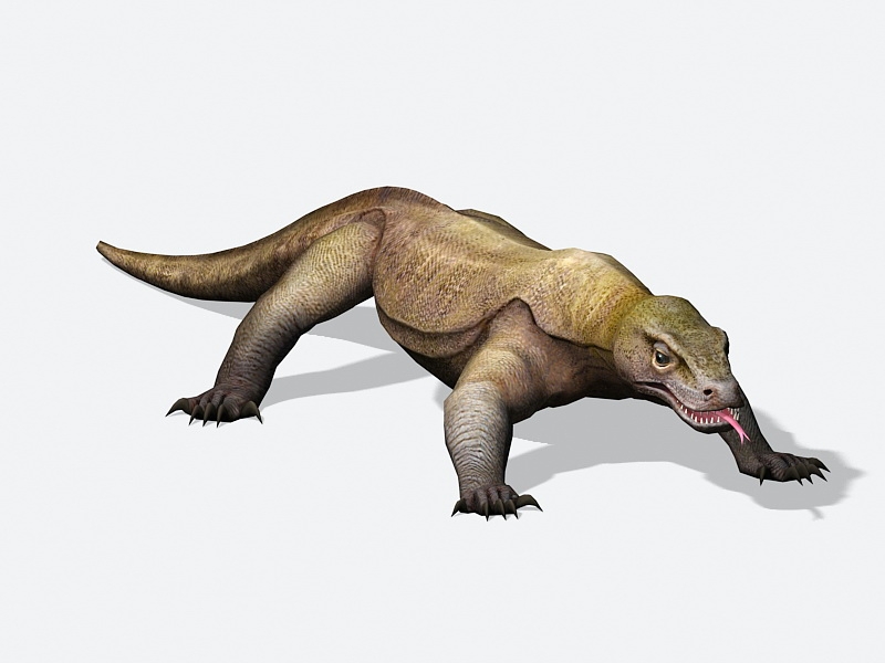 Komodo Dragon Lizard 3d rendering