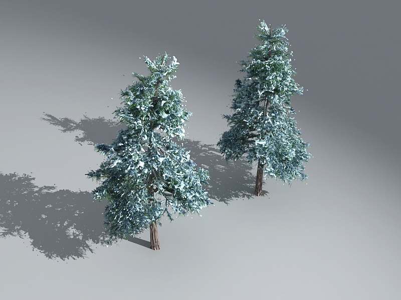 Snow Cedar in the Snow 3d rendering