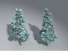 Snow Cedar in the Snow 3d preview