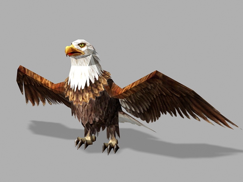 Bald Eagle Lowpoly 3d rendering