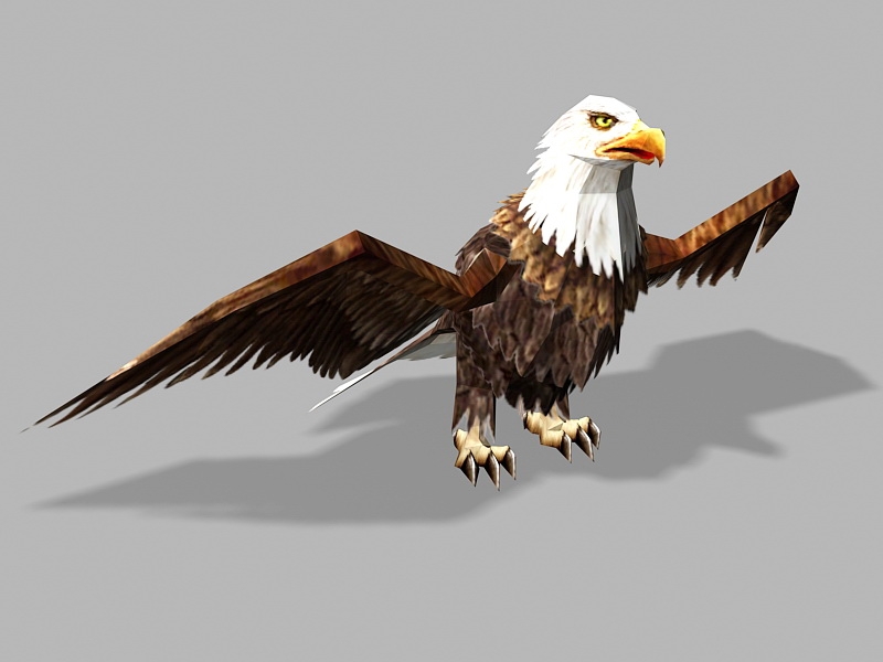 Bald Eagle Lowpoly 3d rendering