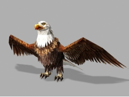 Bald Eagle Lowpoly 3d preview