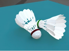 Shuttlecocks with Feathers 3d preview
