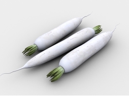 White Radish 3d model preview