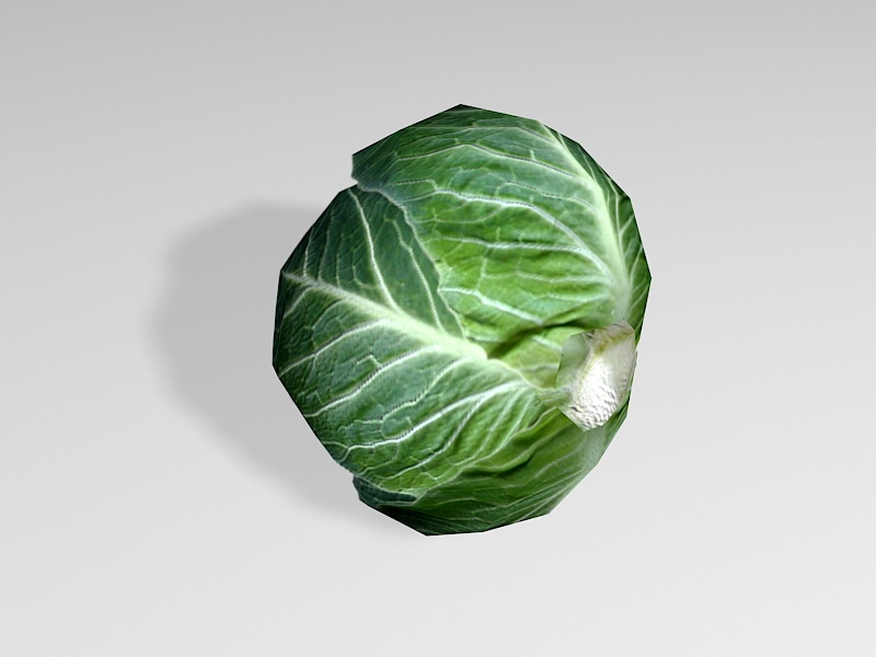 Cabbage Vegetable Lowpoly 3d rendering