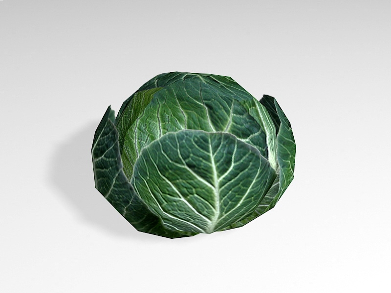 Cabbage Vegetable Lowpoly 3d rendering