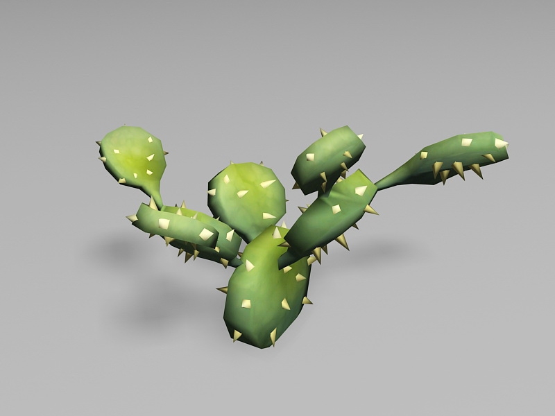 Cactus Cartoon 3d rendering