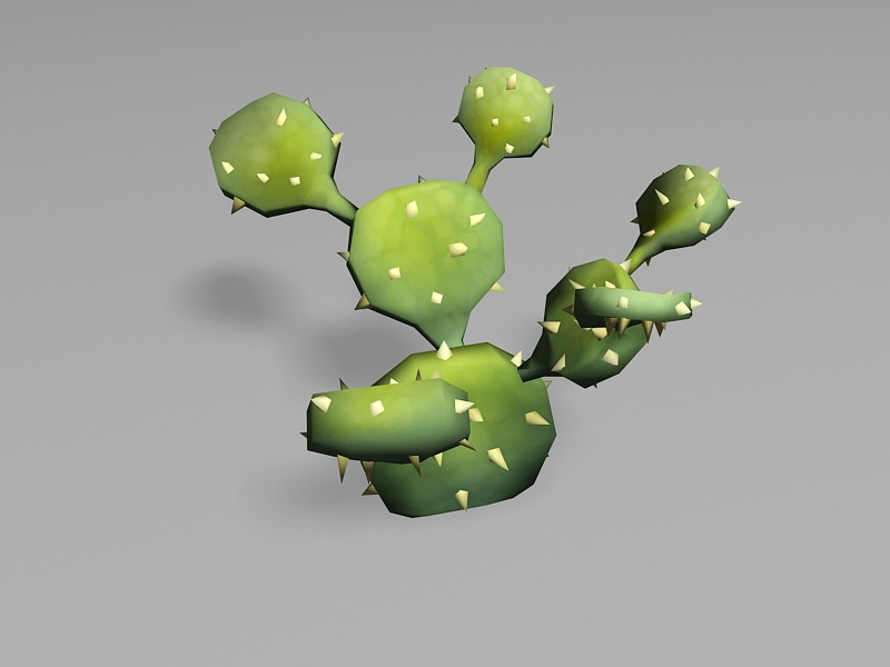 Cactus Cartoon 3d rendering