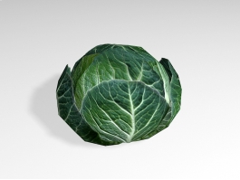 Cabbage Vegetable Lowpoly 3d preview