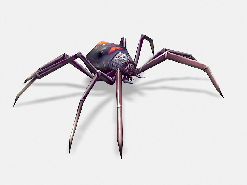 Animated Black Spider Rigged Low Poly 3d rendering