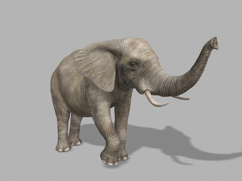 Adorable Elephant 3d rendering