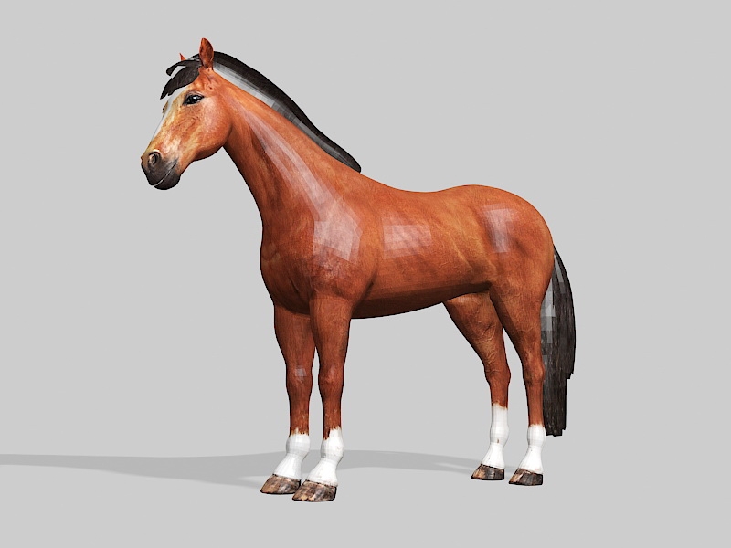 Bay Horse 3d rendering