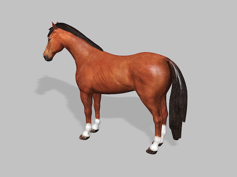 Bay Horse 3d rendering