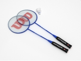 Badminton Racket and Shuttles 3d preview