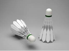 Badminton Birdie 3d preview