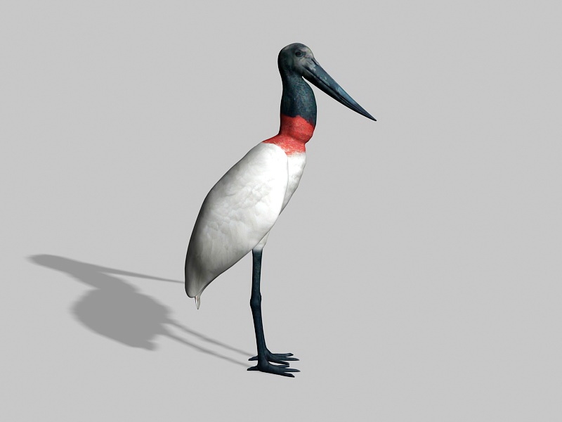 White Water Bird 3d rendering