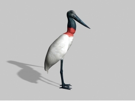White Water Bird 3d preview