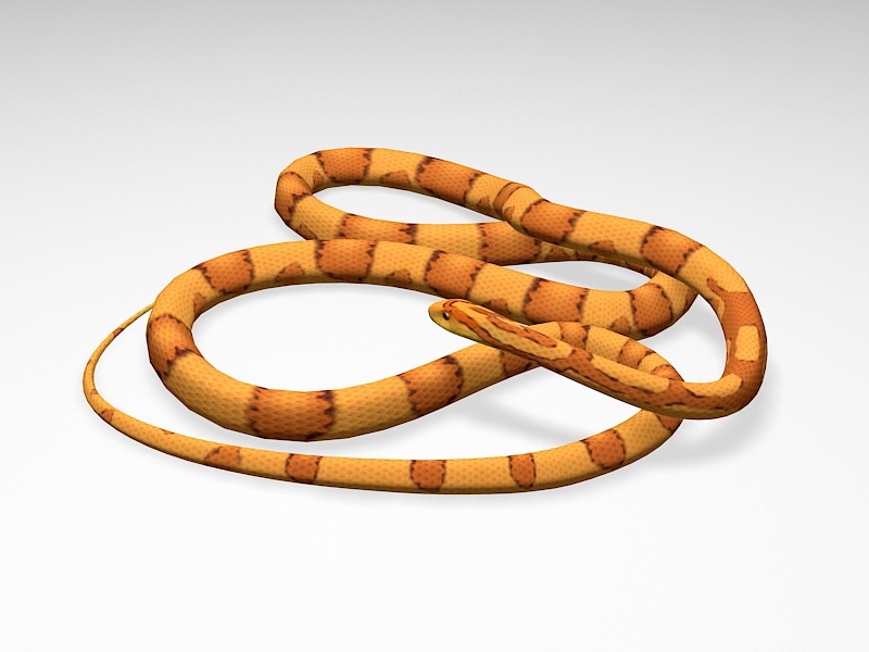 Corn Snake 3d rendering