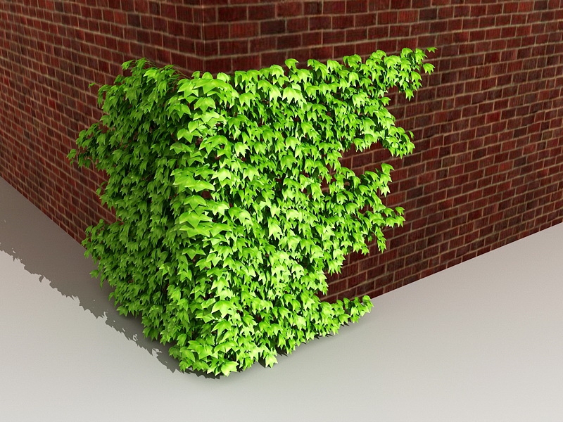 Ivy on Brick Wall 3d rendering