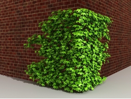Ivy on Brick Wall 3d preview