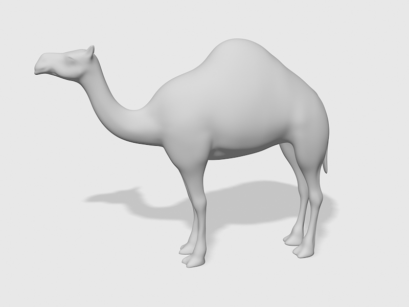 Dromedary Camel 3d rendering