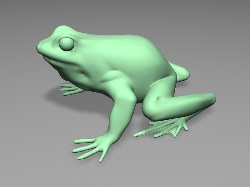 Green Frog 3d rendering