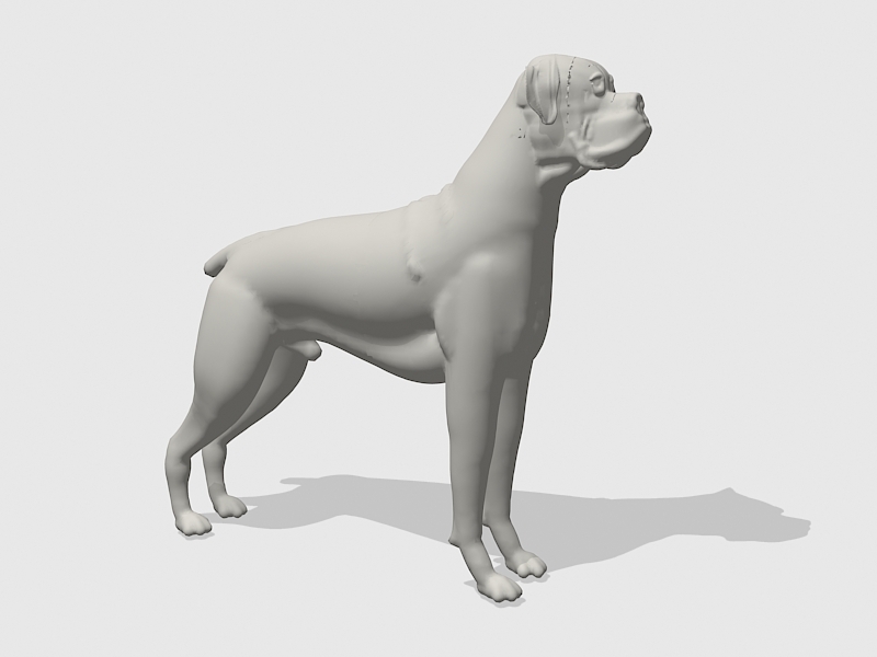 Adult Boxer Dog 3d rendering