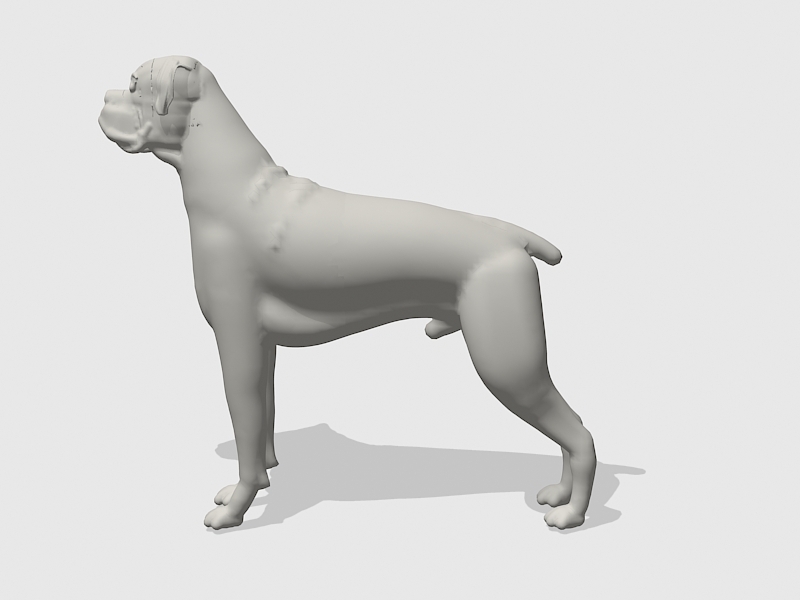 Adult Boxer Dog 3d rendering