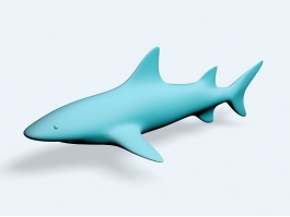 Blue Shark 3d preview